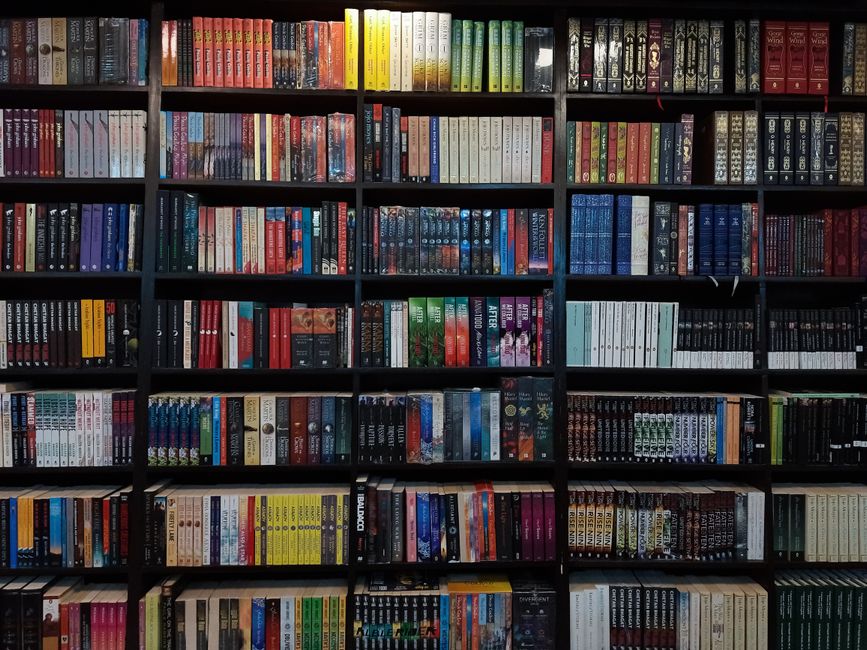 Warm library bookshelf filled with various books, captured in ambient light.