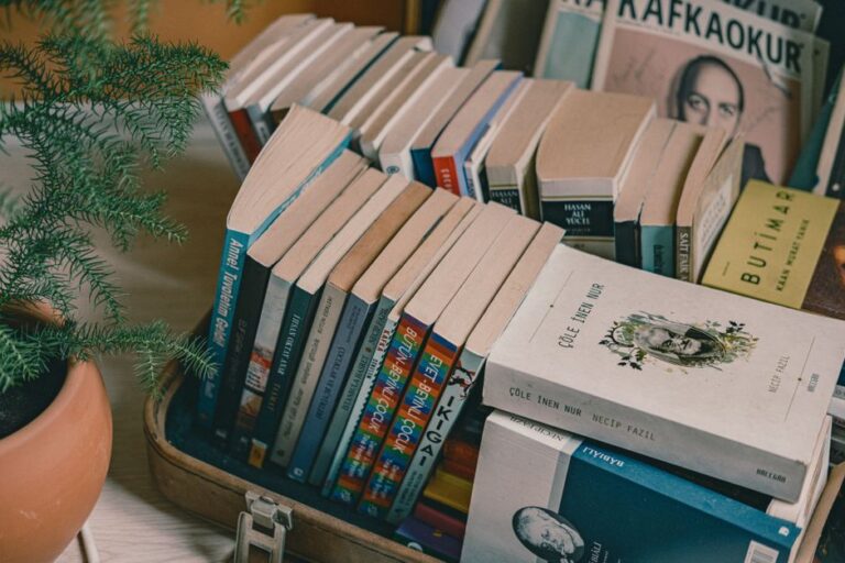 A collection of books neatly arranged in a suitcase next to a potted plant on a wooden table, creating a cozy indoor setting.