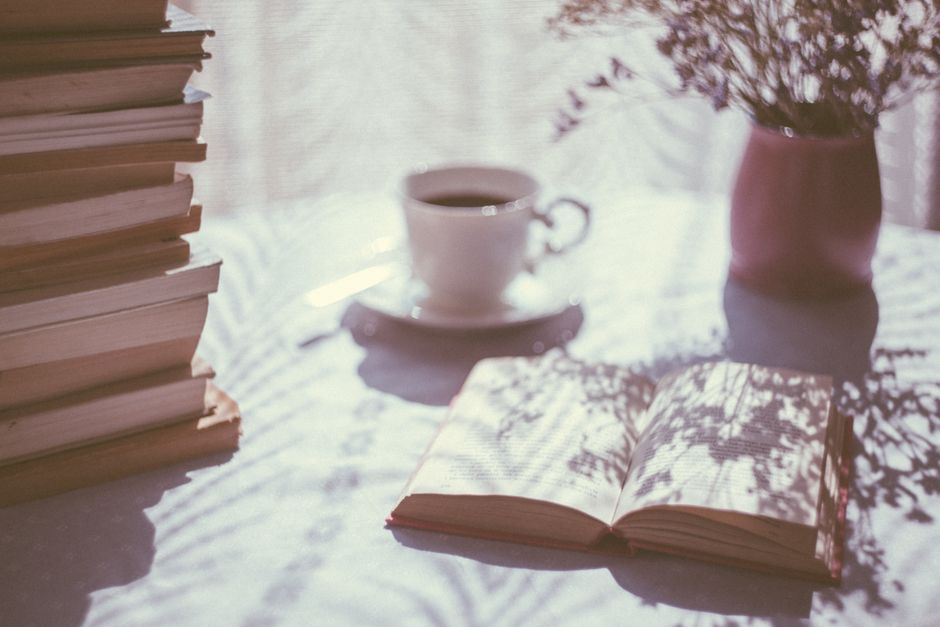 A collection of books neatly arranged in a suitcase next to a potted plant on a wooden table, creating a cozy indoor setting.
